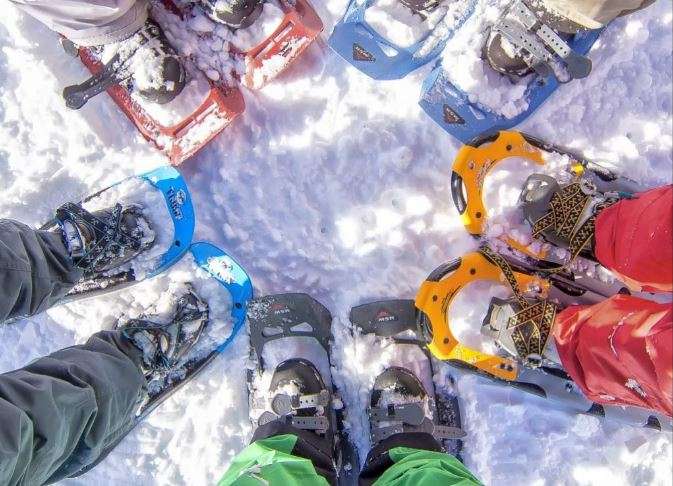 snowshoes share the same basic characteristics